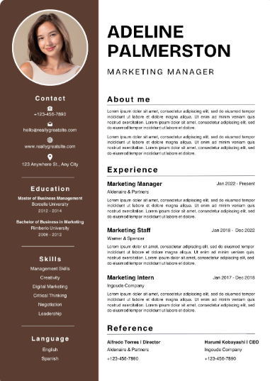 Professional CV Sample 12